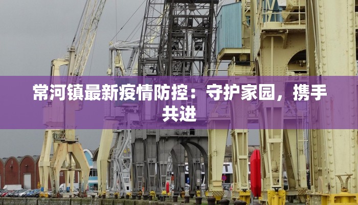 常河镇最新疫情防控：守护家园，携手共进