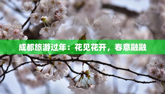 大梅沙疫情最新通知