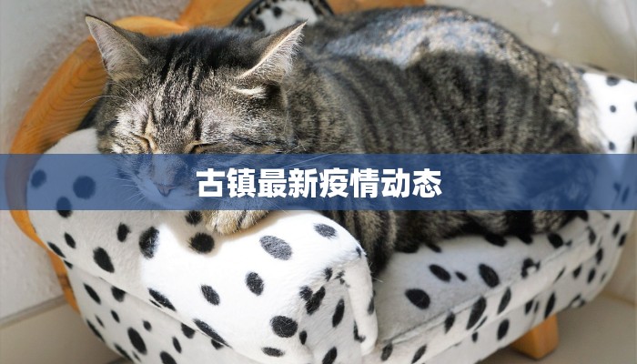 古镇最新疫情动态