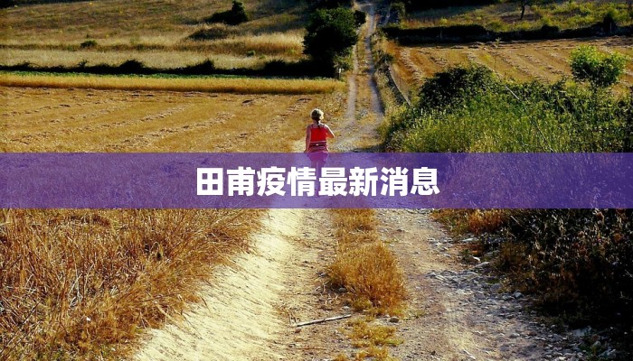 田甫疫情最新消息