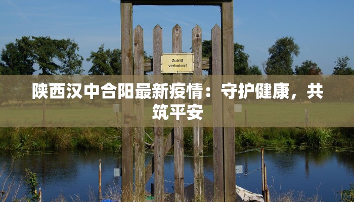 陕西汉中合阳最新疫情：守护健康，共筑平安