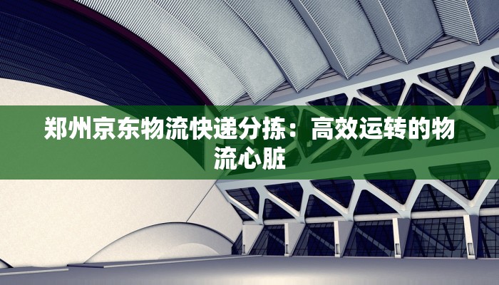 郑州京东物流快递分拣：高效运转的物流心脏