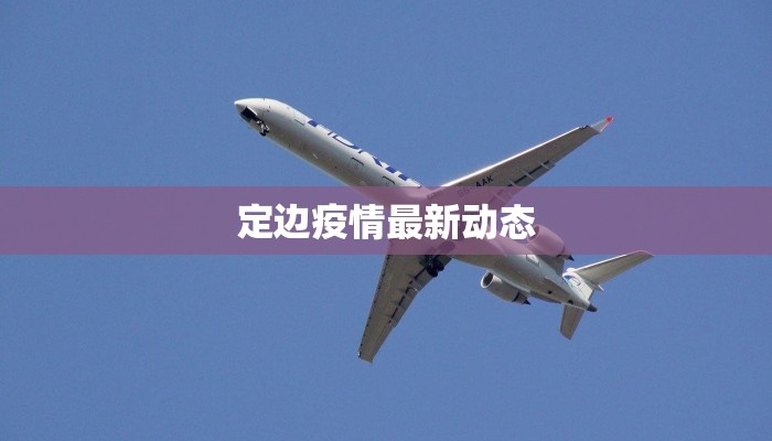 定边疫情最新动态